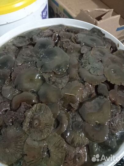 Грибы рыжики соленые