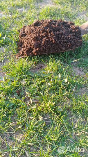 Торф в мешках