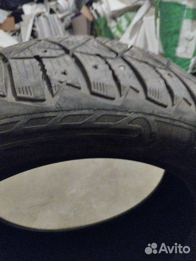 Dunlop Ice Touch 205/55 R16