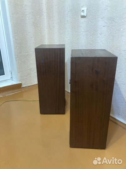 Колонки радиотехника s 90 E