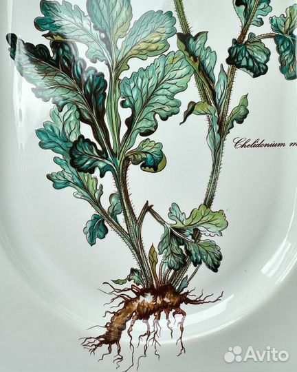 Villeroy boch Блюдо серии Botanica