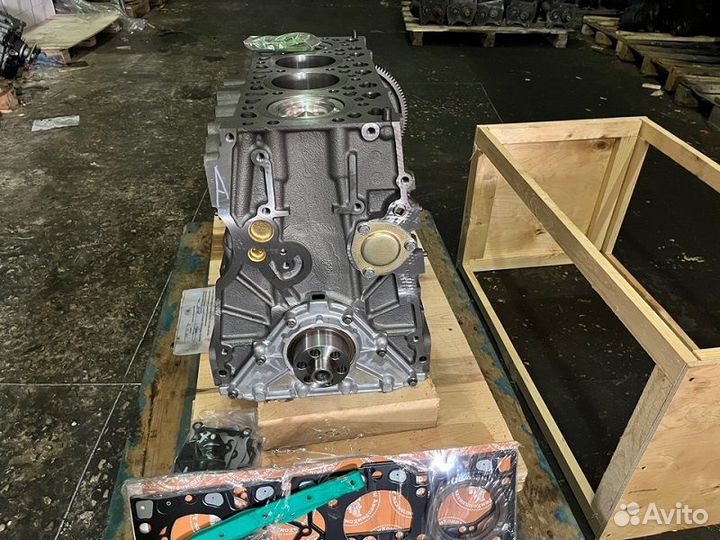 Шорт блок ямз 534 на Газон некст