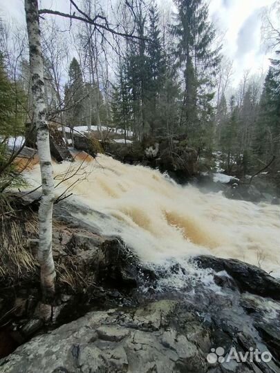 Гид экскурсовод