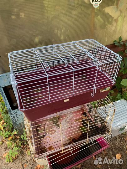 Клетка для грызунов