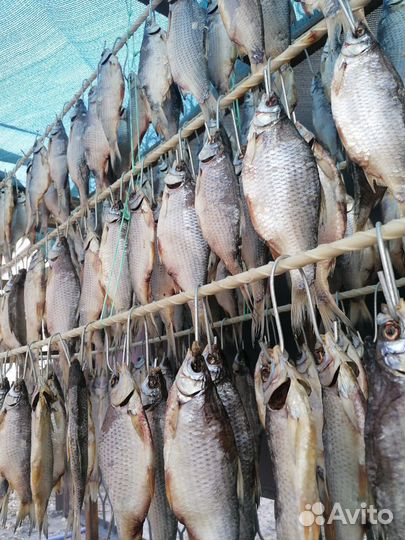 Тарань ейск