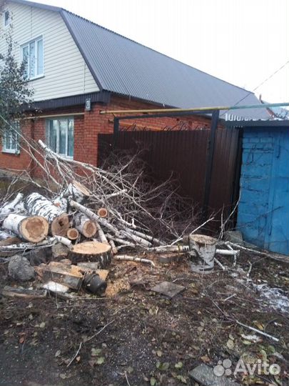 Спил деревьев