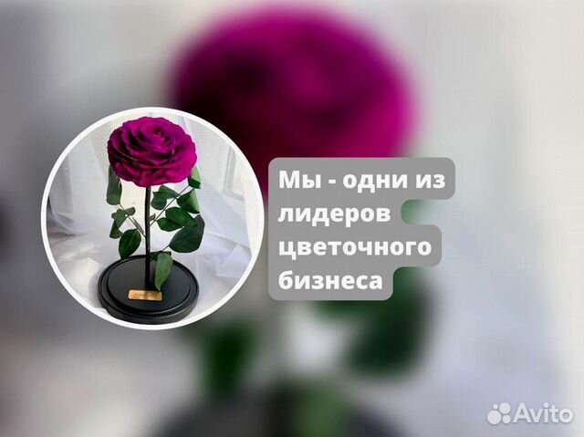 Живая роза в колбе