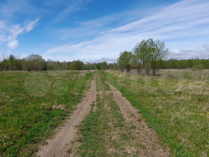 Участок 13,1 сот. (СНТ, ДНП)