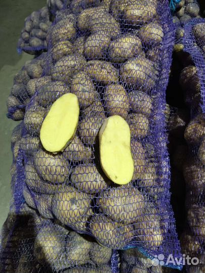 Картофель, лук, морковь, свекла и т.д.с доставкой