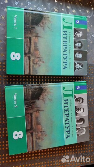 Литература 8 класс