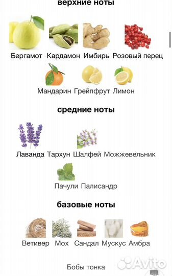 Мужские духи Eisenberg Eau Fraiche Homme