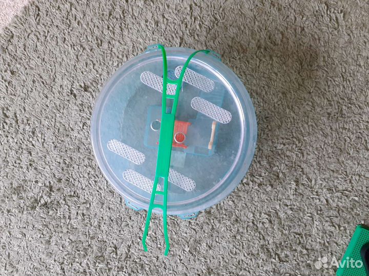 Черепашник