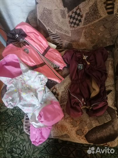 Вещи для маленькой собачки