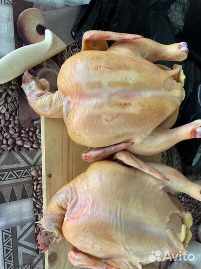 Домашняя птица,мясо