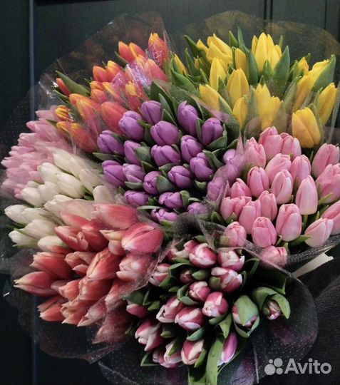 Тюльпаны к 8 марту