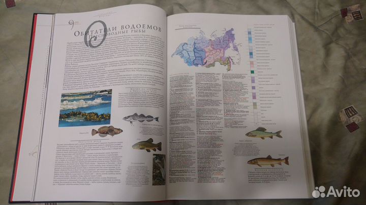 Книга Атлас Азиатской России Сибирь