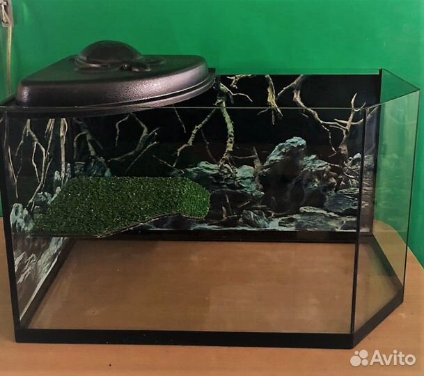 Аквариумы