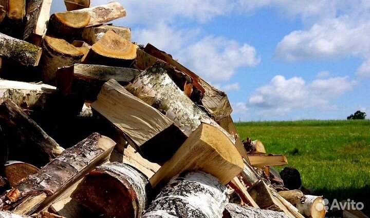 Дрова премиальные