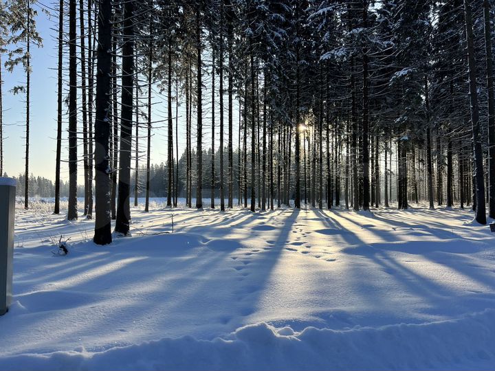 Участок 5,2 сот. (ИЖС)