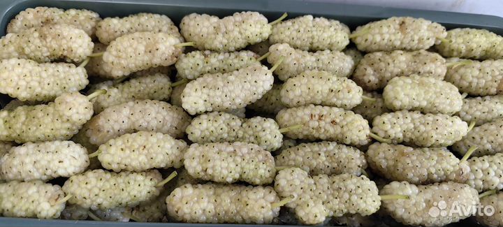 Фрукты и ягоды