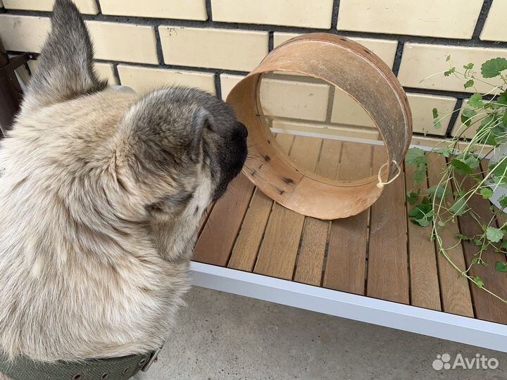 Сито для муки СССР