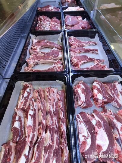 Мясо свежее говядина халяль