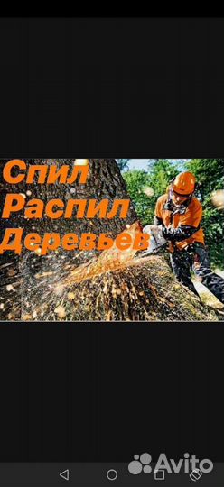 Спил деревьев