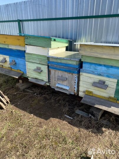 Улей для пчел