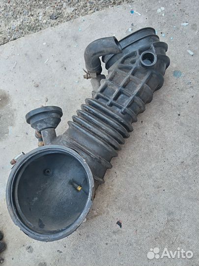 Гофра черепаха audi