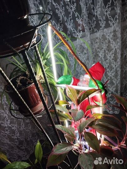 Дед мороз на лестнице, на окно