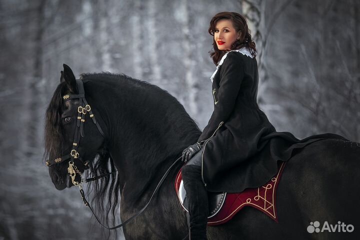 Фризский жеребец на случку