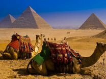 Поездка в Египет 11 ночей все включено