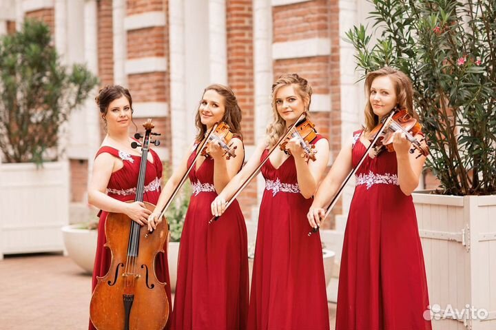 Организация праздника Музыкальное оформление. Стру