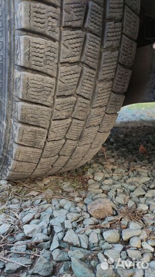 Dunlop Winter Maxx WM01 175/65 R14