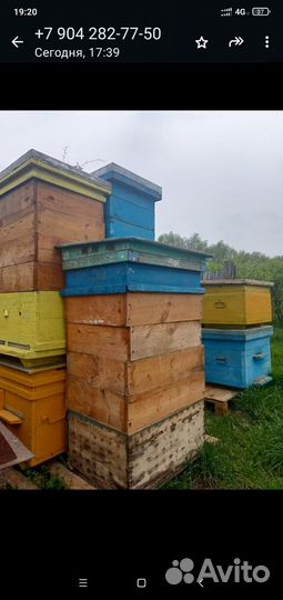 Ульи, рамки