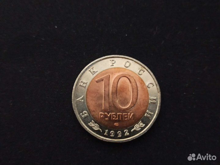 Краснозобая казарка. Красная книга