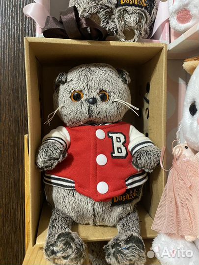 Кот Басик в клубной куртке