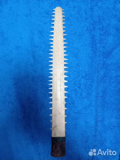 Нос рыбы пилы