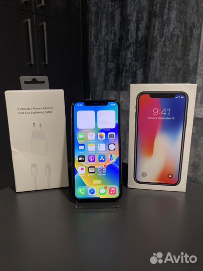 iPhone X, 256 ГБ
