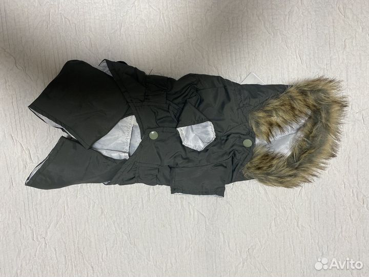 Одежда для животных