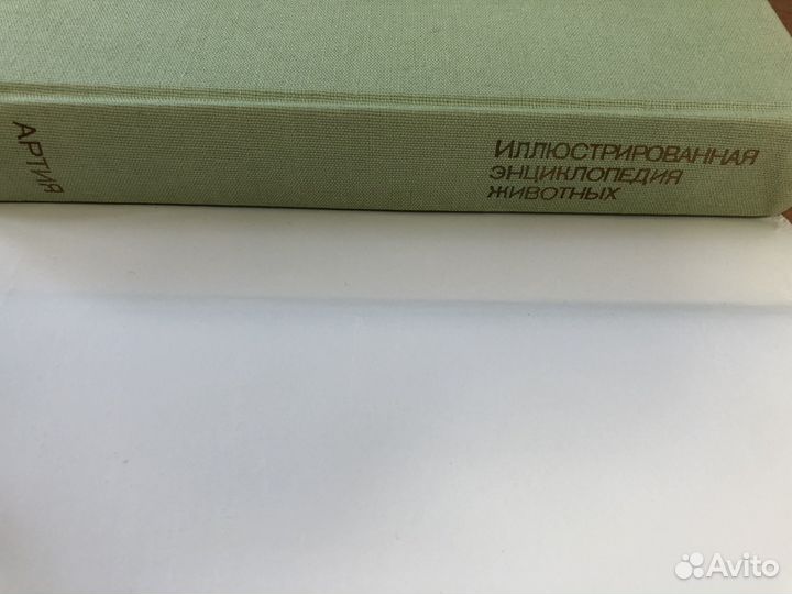 Иллюстрированная энциклопедия животных 1988г