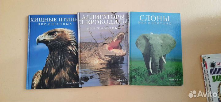 Энциклопедии