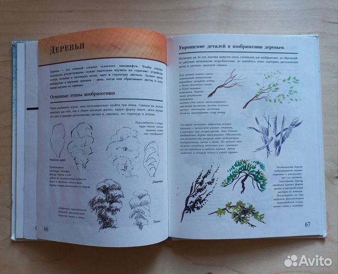 Книга для начинающих художников