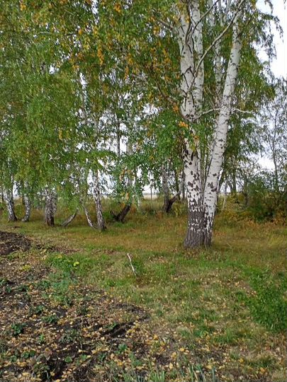 Дача 100 м² на участке 15 сот.