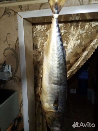 Скумбрия холодного копчения