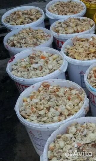 Пищевые отходы животным,куры,поросята,скотина дом