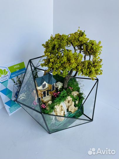 Флорариум. Не требует ухода. Моссариум в наличии