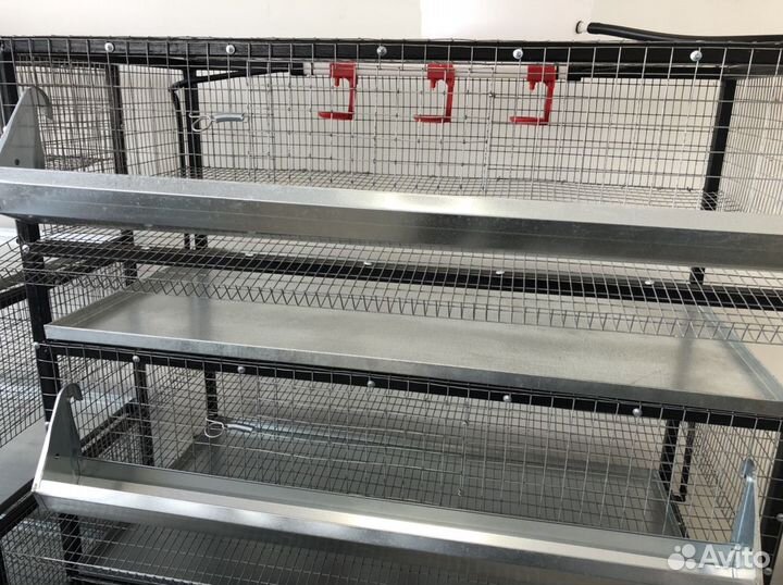 Клетка для перепелов на 160 голов в сборе