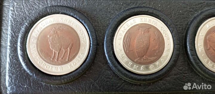 Красная книга