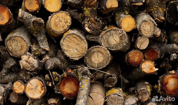 Дрова с Зеленогорска